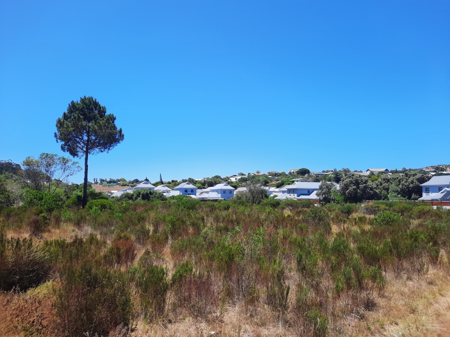 0 Bedroom Property for Sale in Meedingsride Western Cape